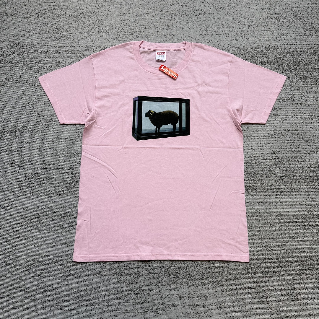 Supreme TEE - Image 8