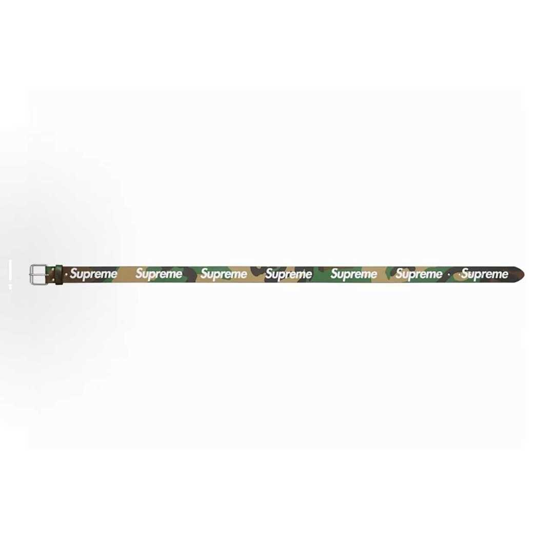 Supreme SS24 WEEK 6 REPEAT LEATHER - Image 19